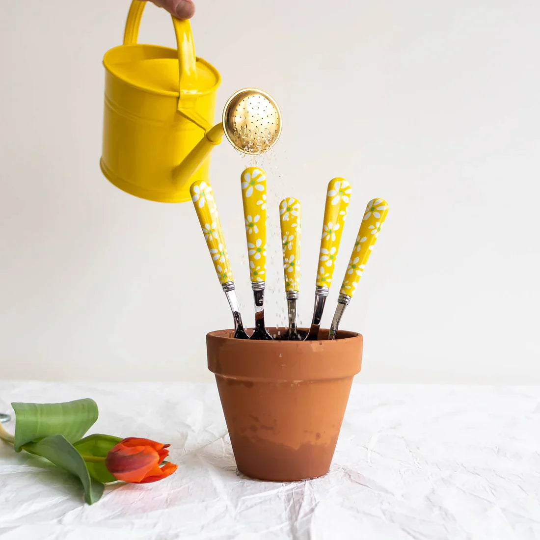 Sabre Paris Daisy Red