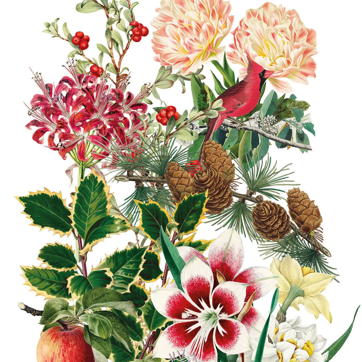 Italian Lines - Kitchen Towels "Natalia", 100% Made in Italy