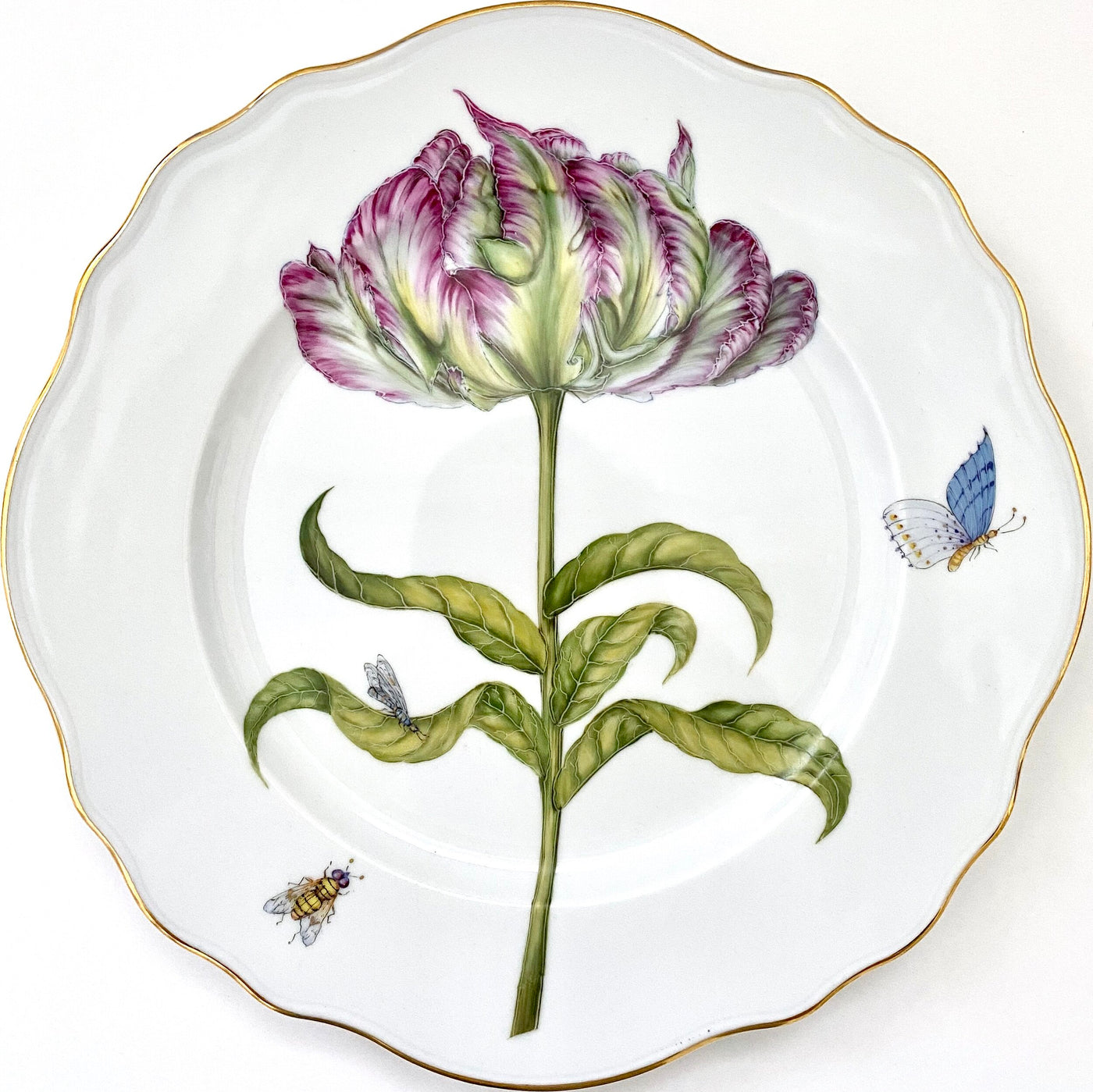 Anna Weatherley Designs - FG4 - Dinner plate