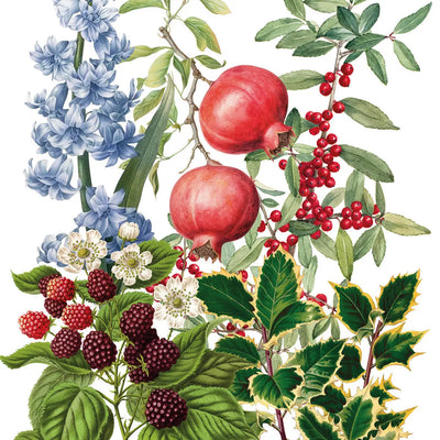 Italian Lines - Kitchen Towels "Natalia", 100% Made in Italy