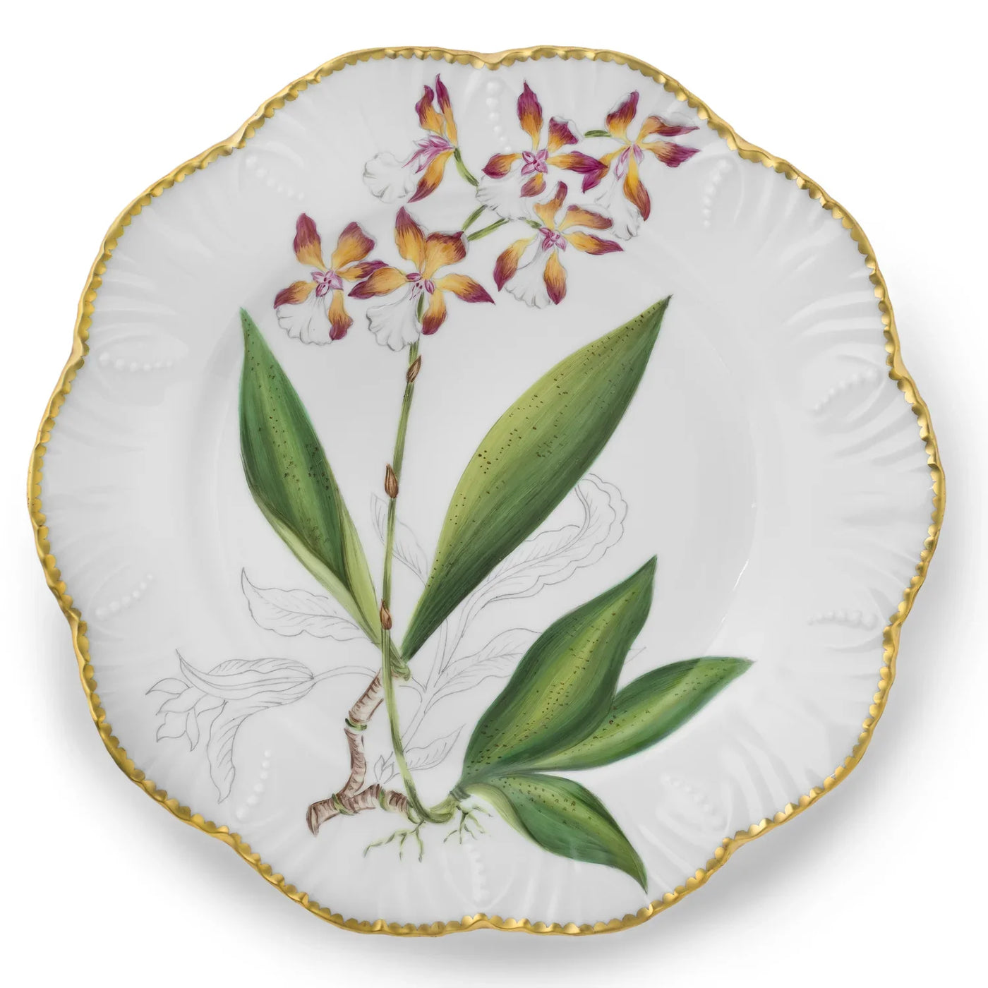 Histoires d'Orchidées Dinner 06 plate