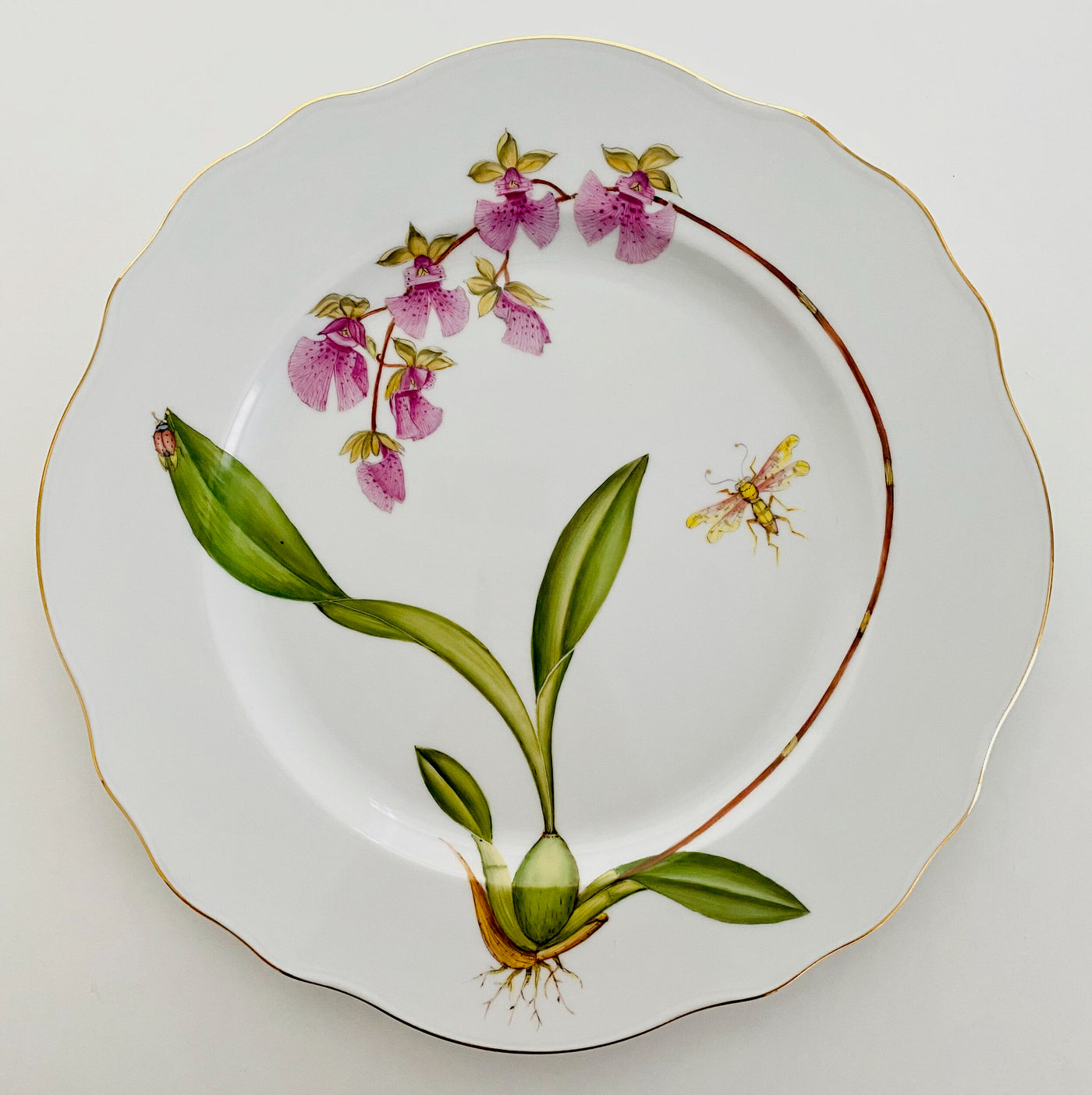 Anna Weatherley Designs - OR6 - Orchid Dinner Plate