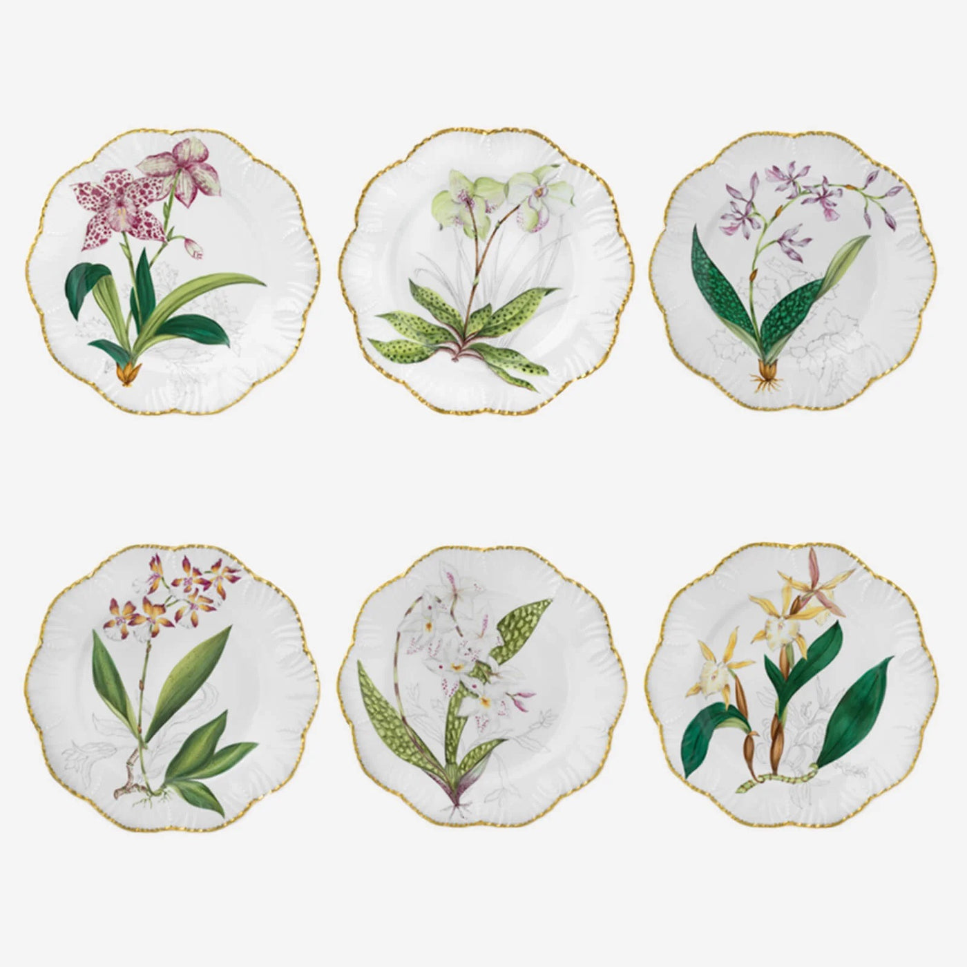 Alberto Pinto - Histoires d'Orchidées Set of 6 dessert plates