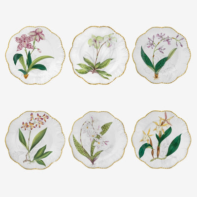 Alberto Pinto - Histoires d'Orchidées Set of 6 dessert plates