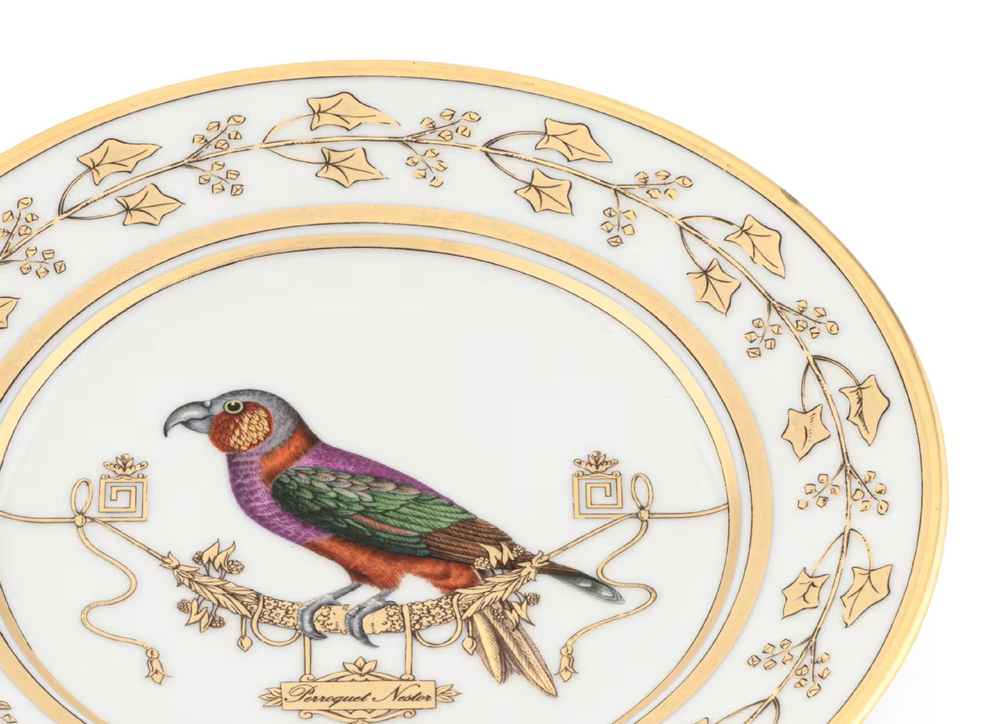 GINORI 1735 VOLIÈRE Collection PERROQUET NESTOR bread plate
