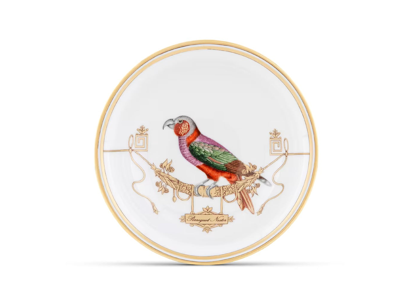 GINORI 1735 VOLIÈRE Collection PERROQUET NESTOR small bowl