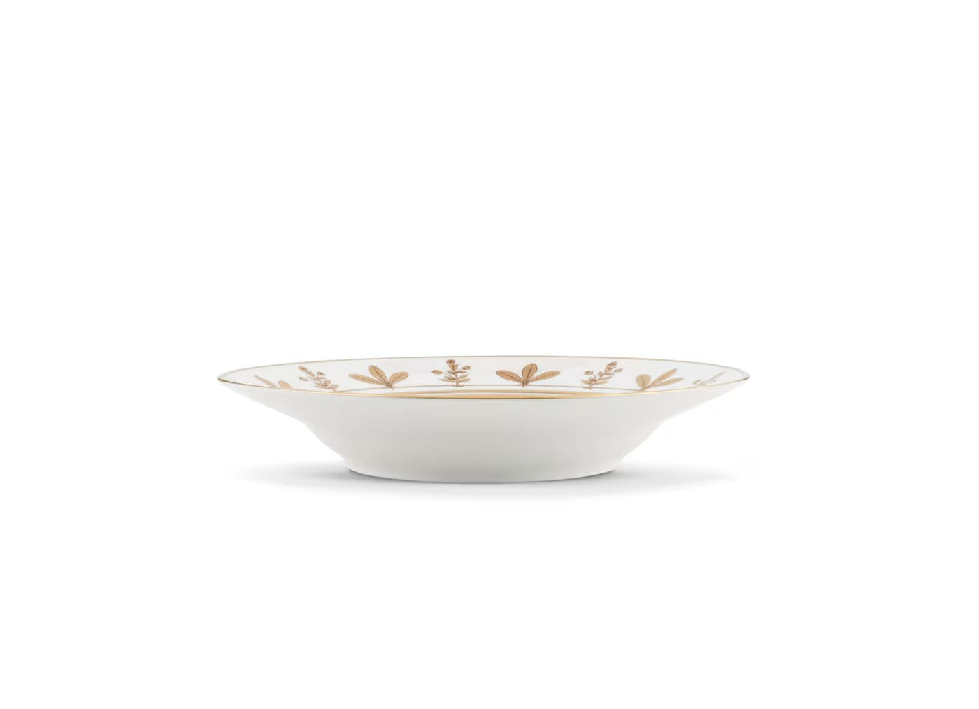 GINORI 1735 VOLIÈRE Collection COUCOU DIDRIE soup plate
