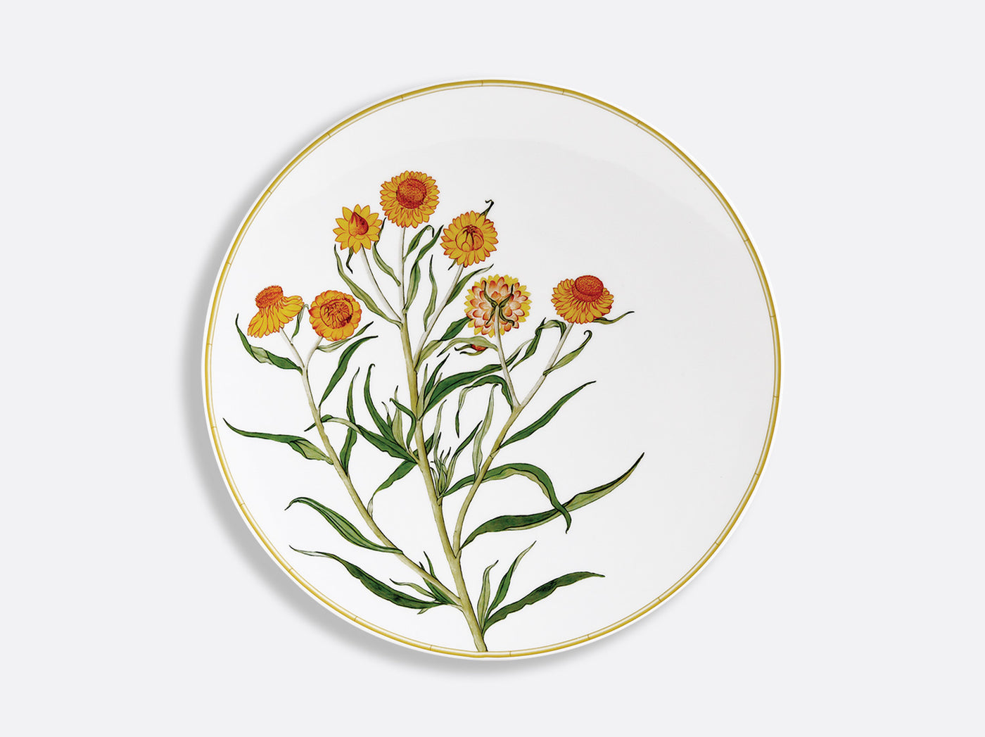 Jardin Indien Coupe plate 10.6''