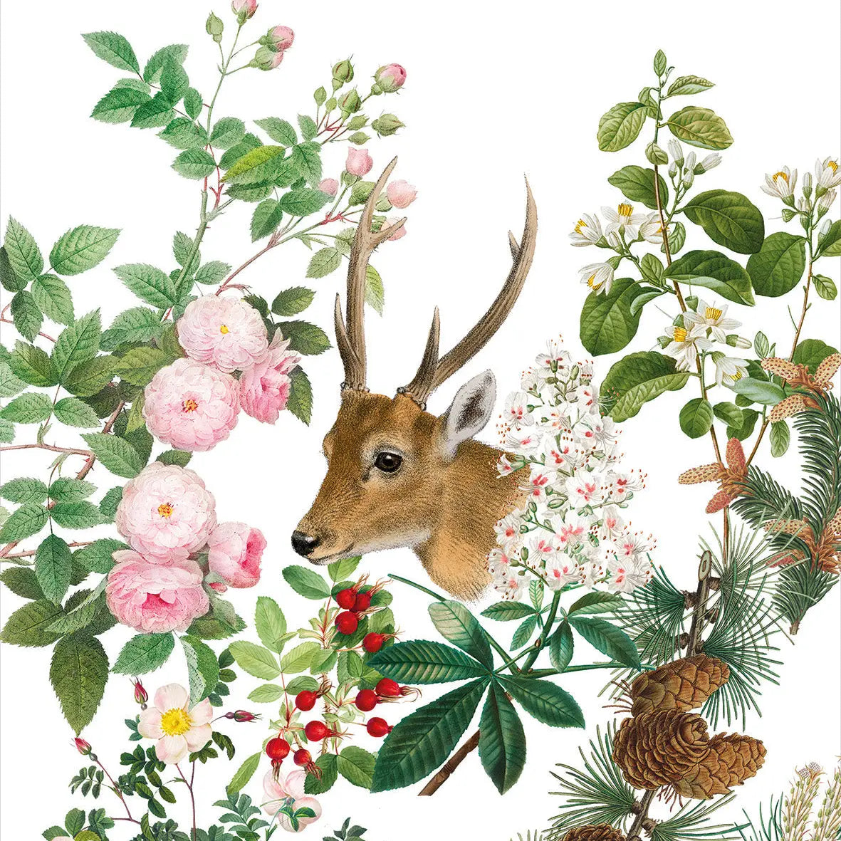 Italian Lines - Kitchen Towels Cervi 100% Made in Italy