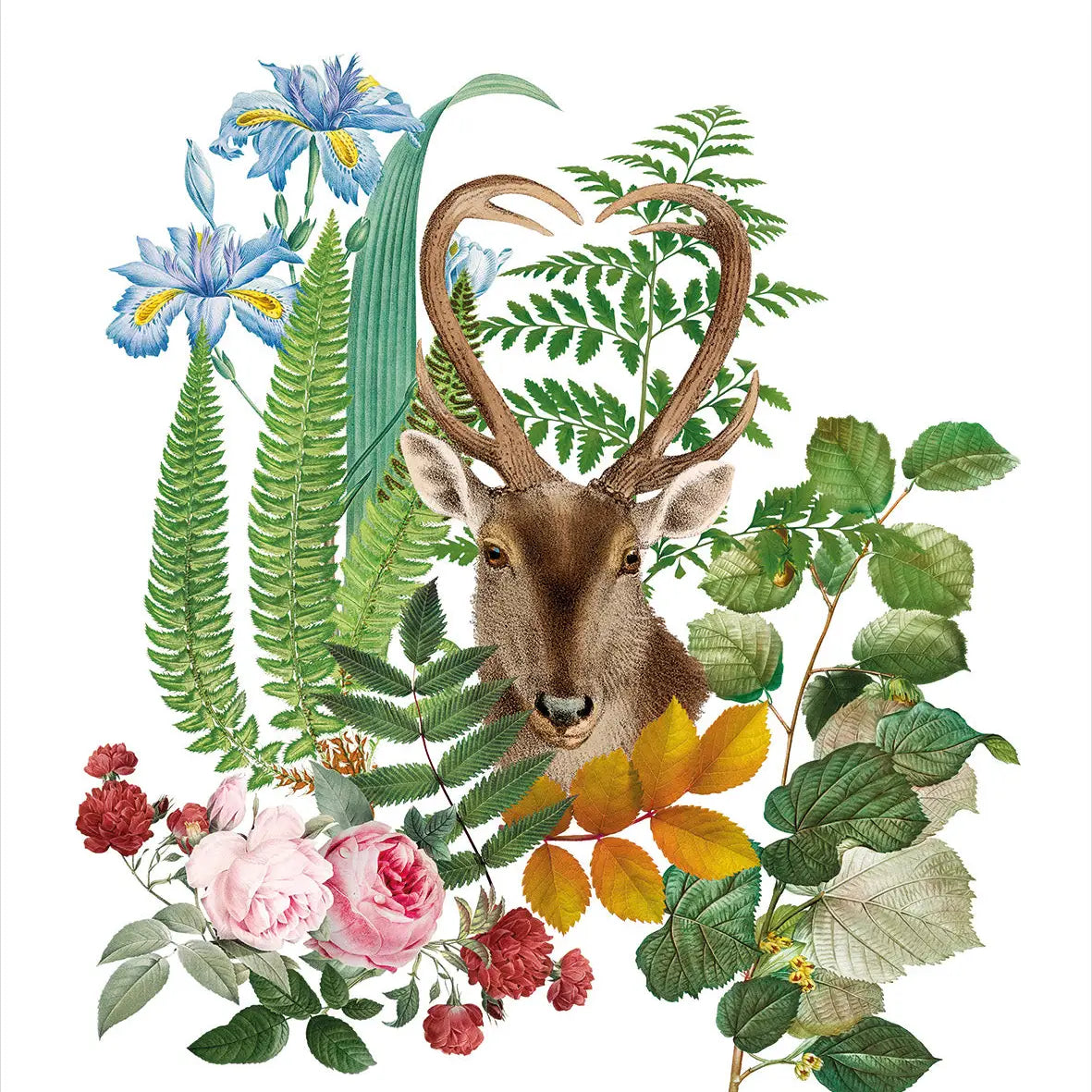 Italian Lines - Kitchen Towels Cervi 100% Made in Italy