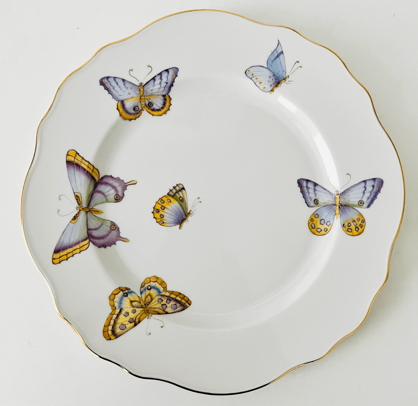 Anna Weatherley Designs - AT7 - Butterflies! Collection Dinner Plate